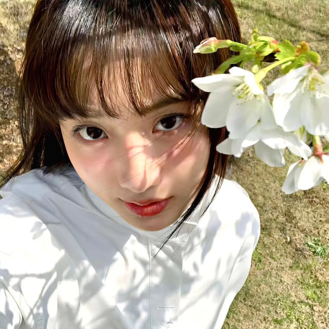 黑色蜂群