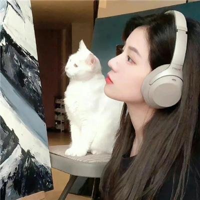 灰鸽子之歌